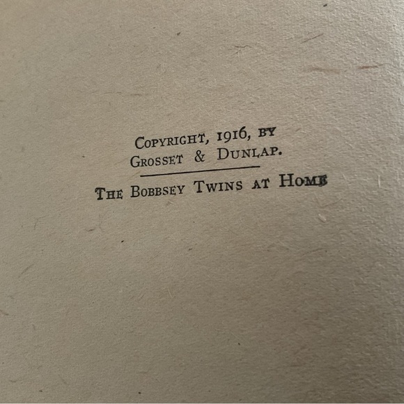 The Bobbsey Twins at Home Book - Picture 7 of 10